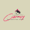 Carmsy