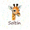 Soltin