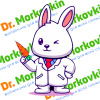 Доктор Морковкин