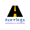 Hontinga