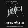 OPEN WORLD