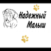 Надежный Малыш @