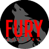 Fury systems