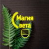 Магия Света