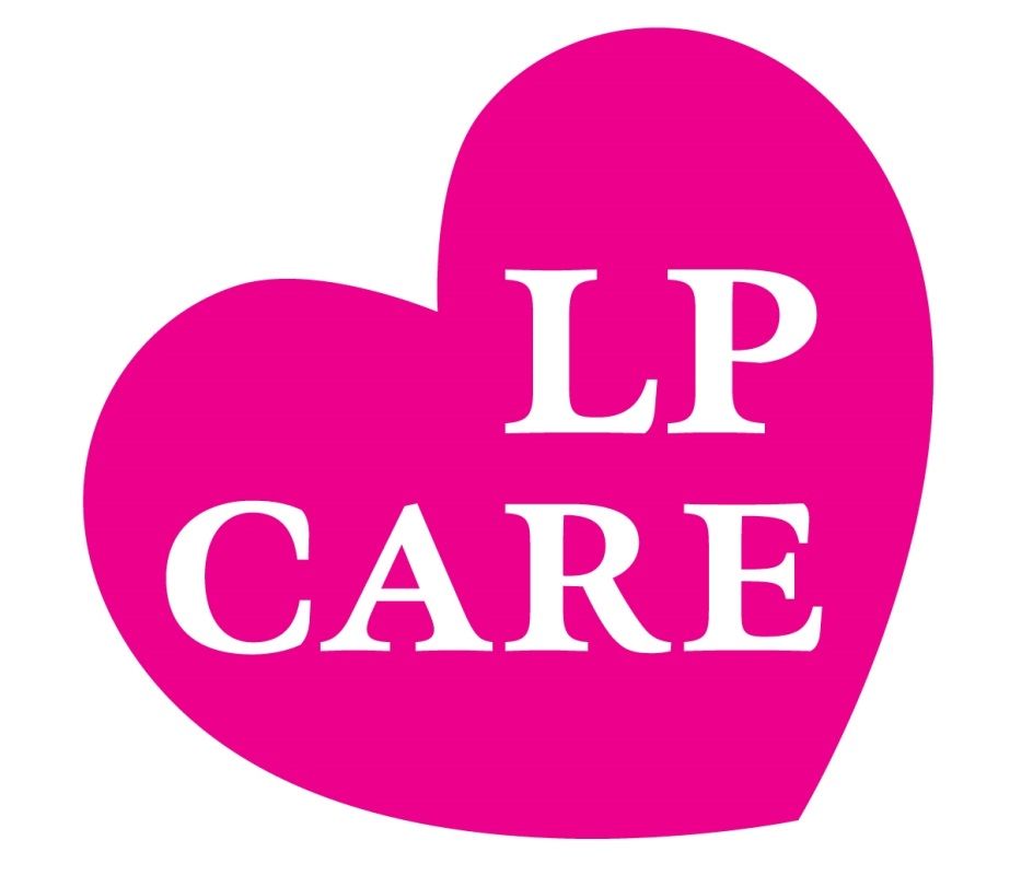 does purchasing a care affect net worth - Ilustrasi 2