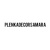 PLENKADECORSAMARA