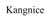 Kangnice