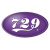 729