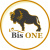 Bis ONE