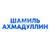 Шамиль Ахмадуллин