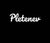 Pletenev