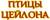 Чай листовой Птицы Цейлона
