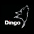 Алкотестеры Dingo