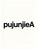 pujunjieA