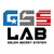 Протеины, гейнеры, углеводы GSS Lab