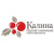 Кремы для лица КАЛИНА