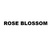 ROSE BLOSSOM