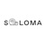 Чехлы для смартфонов SOLOMA Case