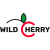 WILD CHERRY