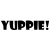 Кисти для макияжа YUPPIE!