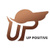 UP POSITIVE