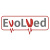 Вибраторы EvolVed