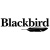 Blackbird
