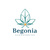 Begonia Accessories