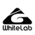 Маски и очки для лыж и сноубордов WHITELAB