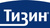 Тизин