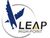 Аксессуары для настольных игр Leap