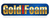GoldiFoam