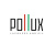 POLLUX
