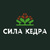 Сила Кедра