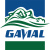 GAVIAL