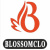 Домашняя одежда для мальчиков BLOSSOMCLO