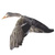 Kaz.goose.stepok