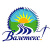 Валетекс