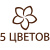5 ЦВЕТОВ
