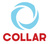 Ошейники и поводки для собак Collar
