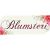 Blumsteri