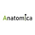 Anatomica