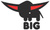 Каталки и веломобили Big