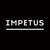Нижнее белье больших размеров мужское Impetus
