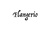 Flangerio
