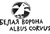 Белая ворона